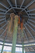 A Smack of Jellyfish (2016) by Christine Holden, Millennium Esplanade Park, Tannum Sands