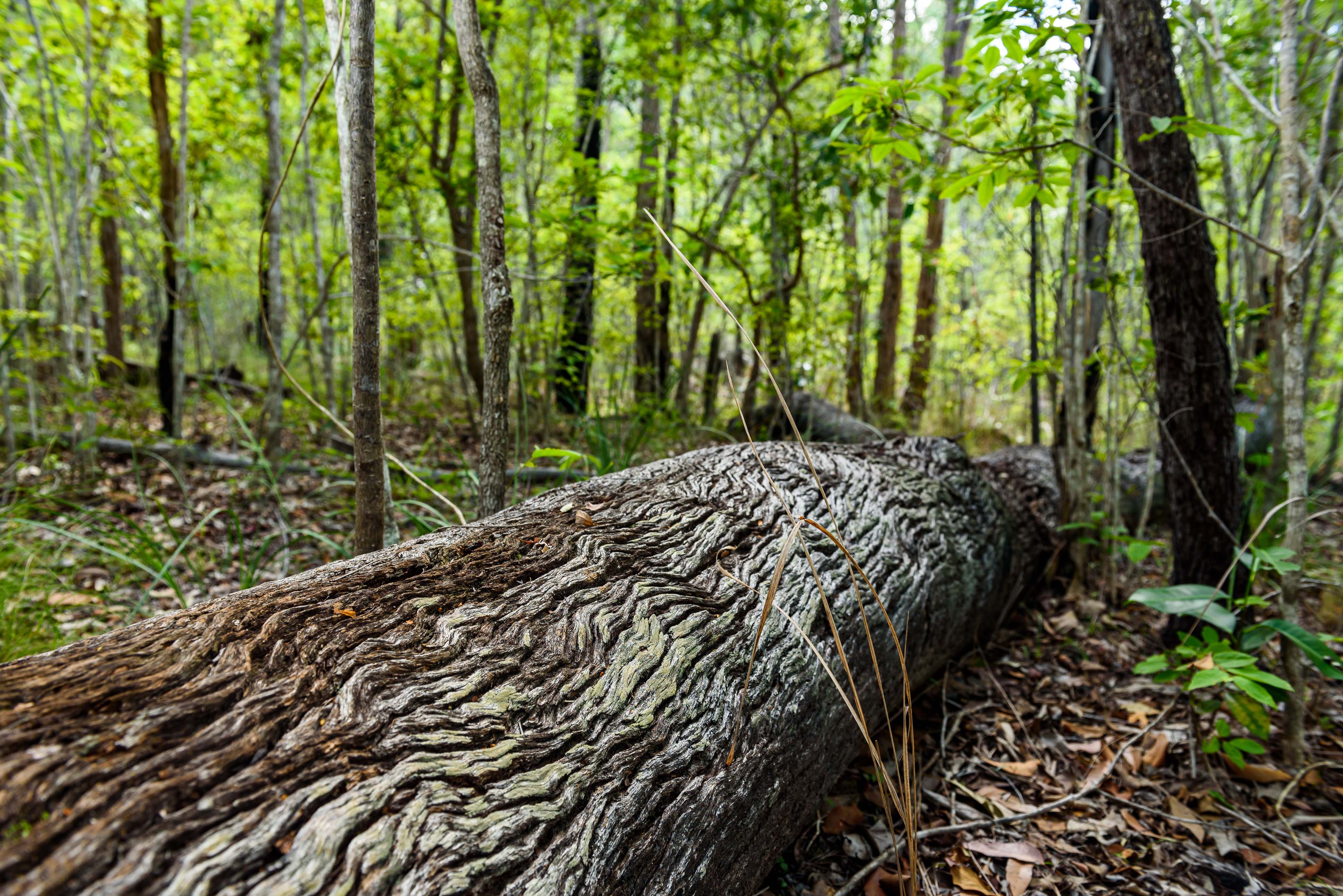 Expressions of Interest for Queensland’s First Highway Ephemeral Arts Exhibition Opens