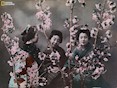 ELIZA R. SCIDMORE (1918) Three Japanese women dressed in traditional kimonos celebrate the annual arrival of the cherry blossoms.  National Geographic exhibition "WOMEN.”